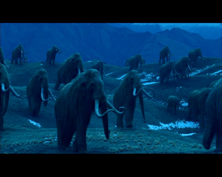PDVD_168.jpg