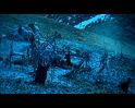 PDVD_137