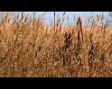 PDVD_1406