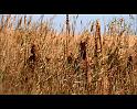 PDVD_1407