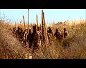 PDVD_1409