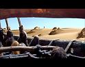 PDVD_1431