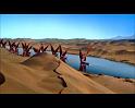 PDVD_1453