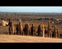 PDVD_1488