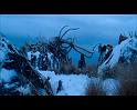 PDVD_1534