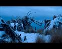 PDVD_1535