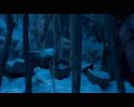 PDVD_1540