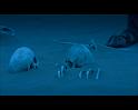 PDVD_1550