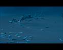 PDVD_1553