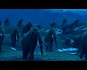 PDVD_168