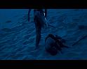 PDVD_1800