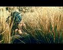 PDVD_195