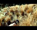 PDVD_196