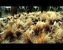 PDVD_197