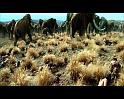 PDVD_198