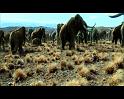 PDVD_199