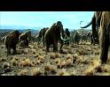 PDVD_200