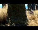PDVD_201