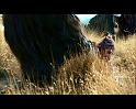 PDVD_202