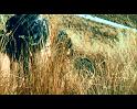 PDVD_205
