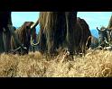 PDVD_206