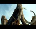 PDVD_209