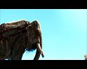 PDVD_2105