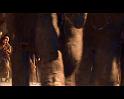 PDVD_2110