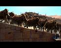 PDVD_2139