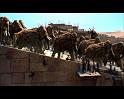 PDVD_2140