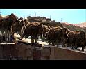 PDVD_2141