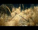 PDVD_217