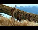PDVD_220