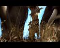 PDVD_223