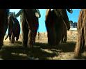 PDVD_228