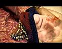PDVD_2288