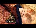 PDVD_2313