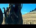 PDVD_233