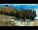 PDVD_235