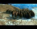 PDVD_240