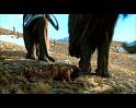 PDVD_246