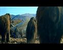 PDVD_249
