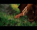 PDVD_2586