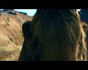 PDVD_262