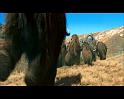 PDVD_263