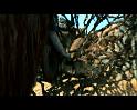 PDVD_265