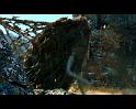 PDVD_266