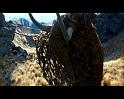 PDVD_269