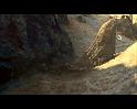 PDVD_288