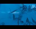 PDVD_430
